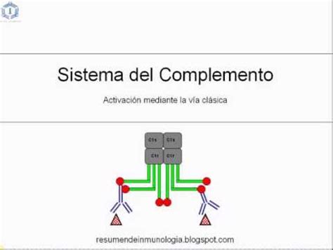 Sistema del Complemento en español  vía clásica    YouTube
