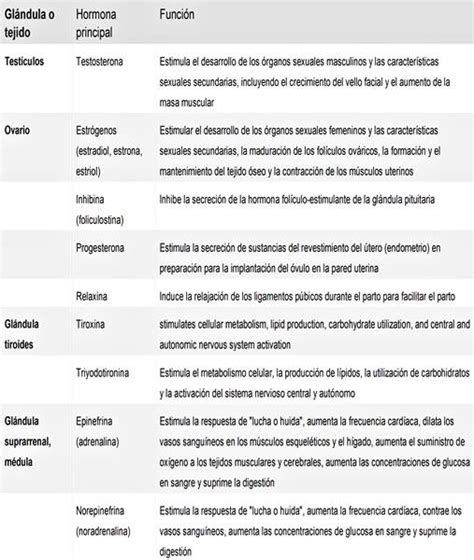 Sistema endocrino: glándulas y hormonas   funciones e historia