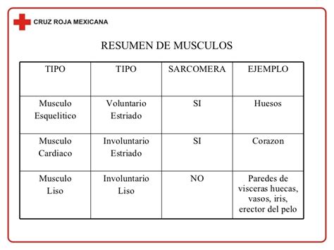 Sistema Musculo Esqueletico