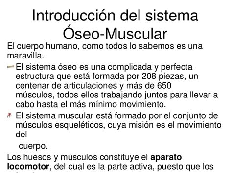 Sistema óseo muscular 2