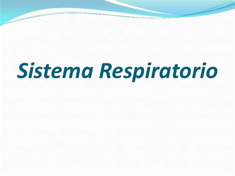 Sistema Respiratorio[1]