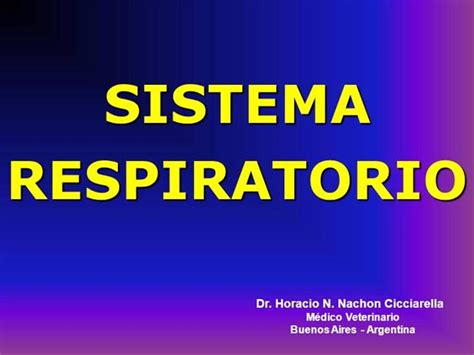 SISTEMA RESPIRATORIO |authorSTREAM