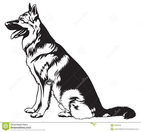 Sitting Dog German Shepherd Stock Vector   Image: 53526532