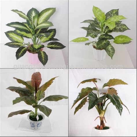 Sjh010631 Shengjie Artificial Plants Indoor Plants With ...