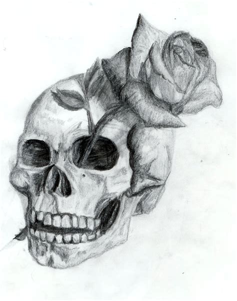 skull drawing | Drawing Pics