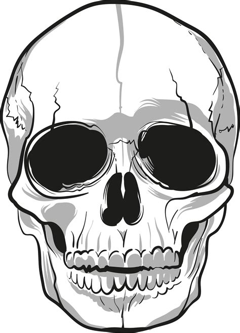 Skulls PNG Image   PurePNG | Free transparent CC0 PNG ...