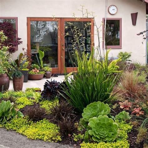 Small space garden in Southern California filled with ...