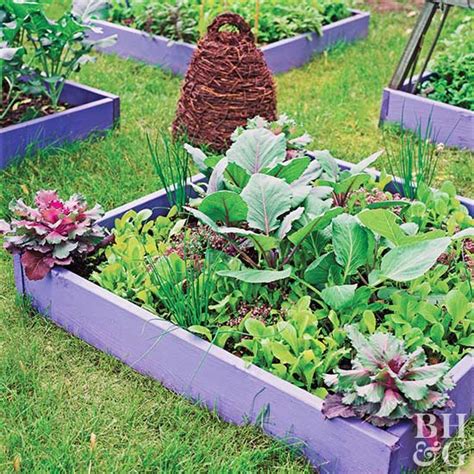 Small Space Vegetable Garden Plan & Ideas