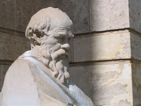 Sócrates – Wikipédia, a enciclopédia livre