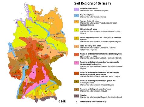 Soil Information   Soils of Germany
