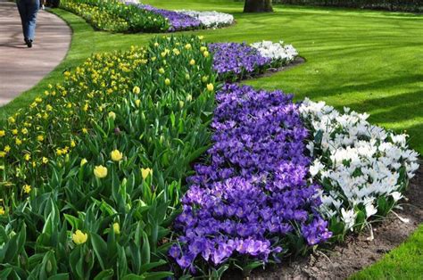 soluciones Integrales para Tu Jardín    | Ideas Jardineros