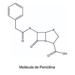 Solution or Precipitate?: Como funciona a Penicilina?