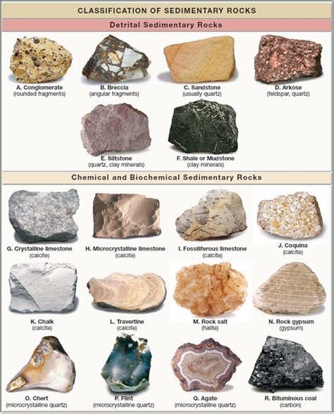 Solved: Carefully examine the common sedimentary rocks ...