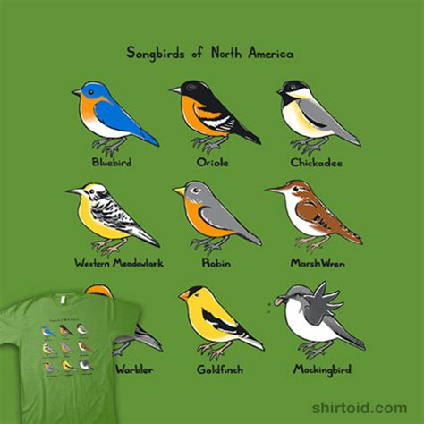 Song Birds Related Keywords & Suggestions   Song Birds ...