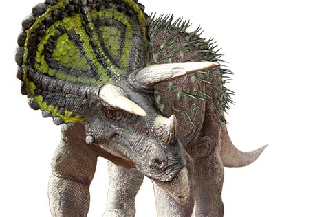 South Australian Museum   Dinosaur rEvolution