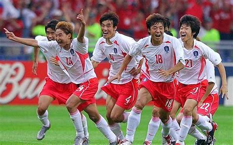 South Korea team at World Cup 2010   Telegraph
