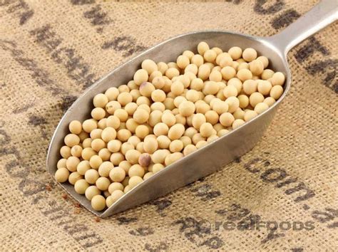 Soya Beans from Real Foods Buy Bulk Wholesale Online