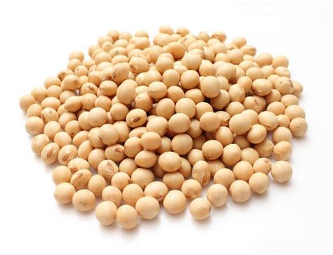 Soya Beans   Organic   The Spiceworks | Online Wholesale ...