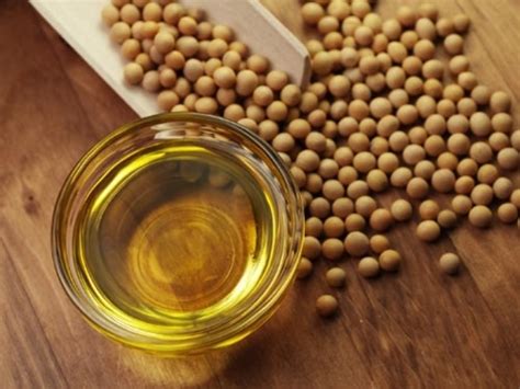 Soybean Oil Health Benefits