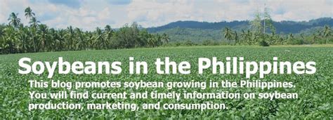 Soybeans in the Philippines