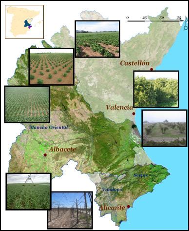 SPAIN: Júcar River Basin and Alicante Province inside ...
