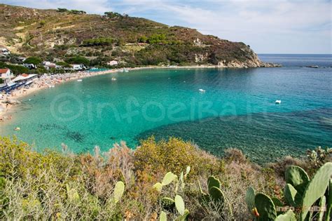 Spiaggia di Cavoli all Isola d Elba, a Marina di Campo