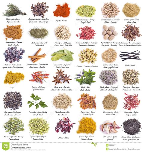 spices set isolated white background great assortment ...