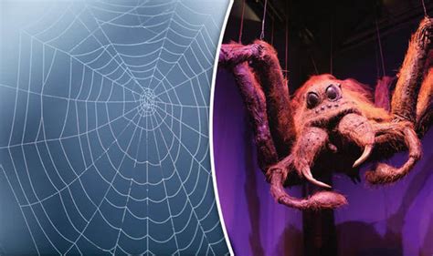 Spiders from Harry Potter and Charlotte s Web used to name ...