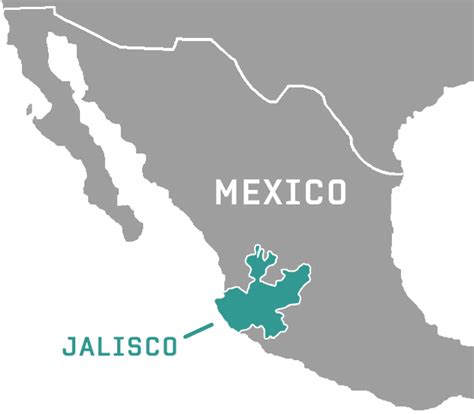Spirit of Jalisco Tequila Distillery Tours