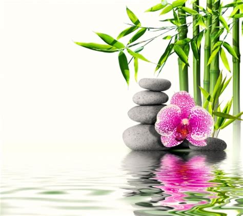 ♥Relaxing Spa♥   Flowers & Nature Background Wallpapers on ...