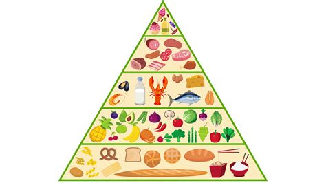 תשעח_0_57202 62_28463: food pyramid