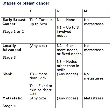 Staging breast cancer | Cancer Society NZ