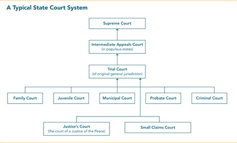 State Courts 101: Structure and Selection | Lambda Legal