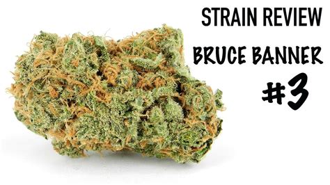 Strain Review: Bruce Banner #3   YouTube