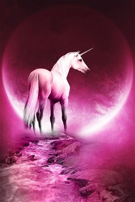 Stunning Celtic Pink Rainbow Unicorn Love King! Healer ...