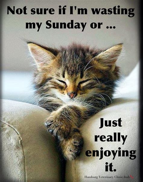 Sunday humor | Relaxing | Doing Nothing | Enjoying Life ...