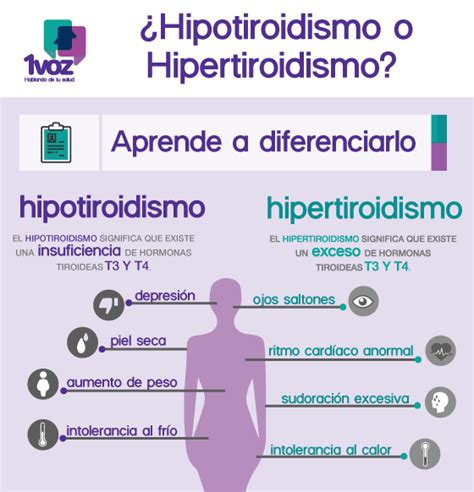 Superando el hipertiroidismo | H I P O T I R O I D I S M O ...