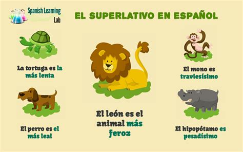 Superlatives in Spanish: Rules, Examples and Practice ...