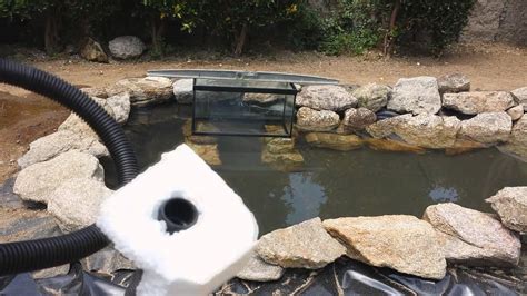 Suplemento con pecera en un estanque para peces   YouTube