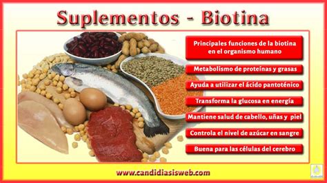 Suplementos Alimenticios   Biotina o Vitamina H