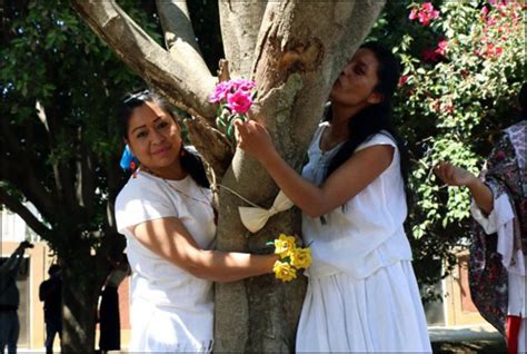 Surprising! Women in Mexico ‘marry’ trees to save them