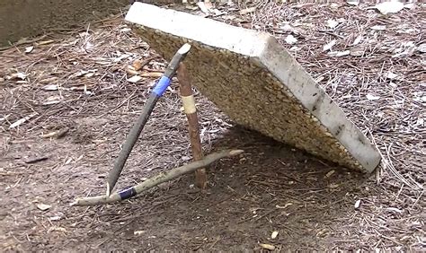 Survival Trapping: 4 Easy Traps to Learn | RECOIL OFFGRID