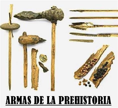 Sus Funciones En La Prehistoria | BLSE