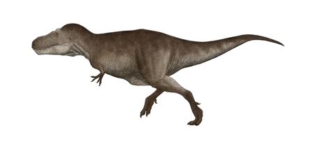 T. rex animated running by Pachyornis on DeviantArt