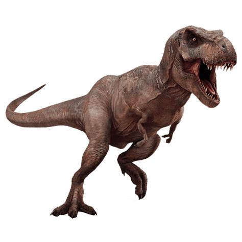 T Rex Dinosaur transparent background image