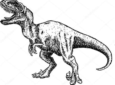 T rex dinosaurios. dibujo a lápiz dibujo dinosaurio ...