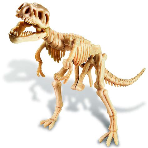 T Rex Skeleton Dino Dig Kit   Educational Toys Planet