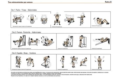 Tabla de ejercicios para ganar masa muscular en el ...