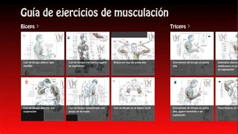 Tablas de entrenamiento: Guía musculación y gimnasio