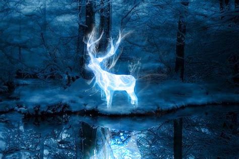 Take Pottermore’s new Patronus quiz to find out if you’re ...